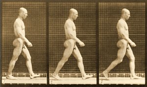 Image Sequence of a Nude Man Walking, 